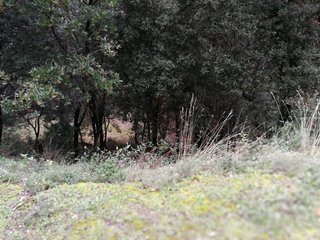 Solar en venta en Urbanitzacions en Bigues i Riells
