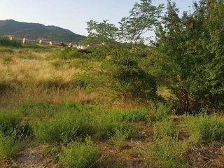 Terreno en venta en Estella/Lizarra