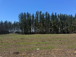 Terreno en venta en Outeiro de Rei