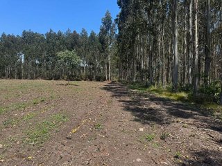 Terreno en venta en Outeiro de Rei