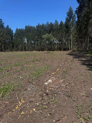Terreno en venta en Outeiro de Rei