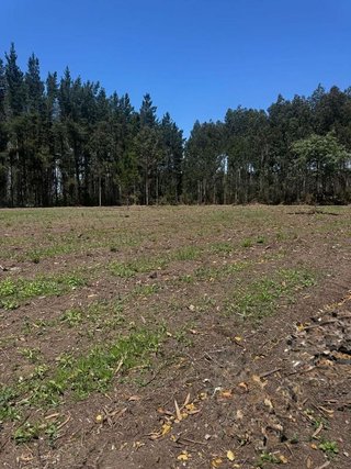 Terreno en venta en Outeiro de Rei