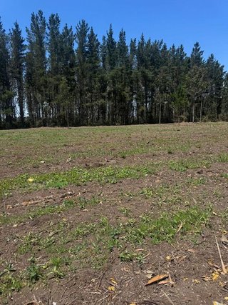 Terreno en venta en Outeiro de Rei