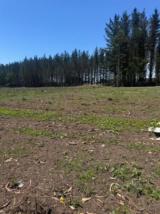 Terreno en venta en Outeiro de Rei