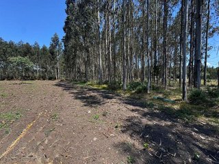 Terreno en venta en Outeiro de Rei