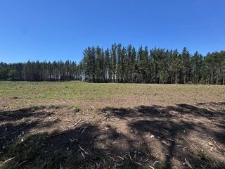 Terreno en venta en Outeiro de Rei