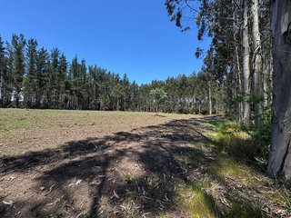 Terreno en venta en Outeiro de Rei