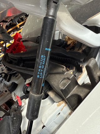 AMORTIGUADORES CAPO Renault Austral (07.2022->)