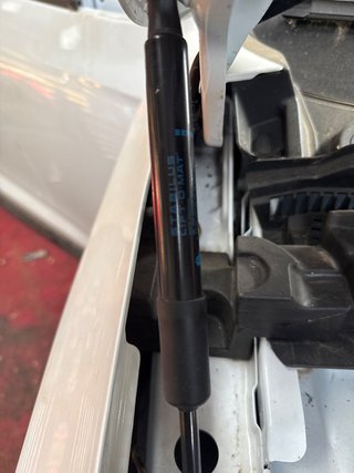 AMORTIGUADORES CAPO Renault Austral (07.2022->)