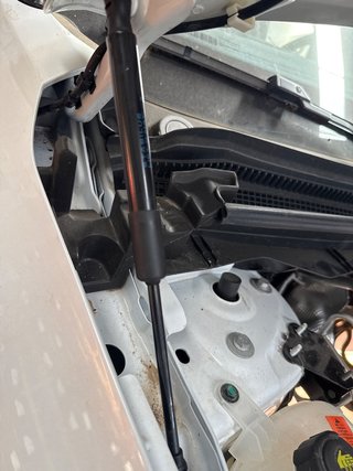 AMORTIGUADORES CAPO Renault Austral (07.2022->)