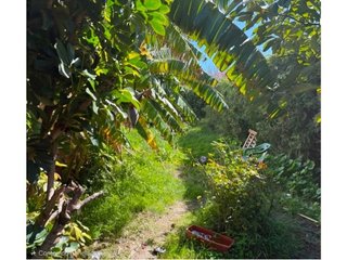 Casa en venta en Puerto - Plaza de Toros en Estepona