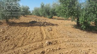 Terreno en venta en Almonte en Almonte