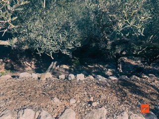 Terreno en venta en Nord en Sant Carles de la Ràpita
