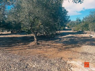 Terreno en venta en Nord en Sant Carles de la Ràpita