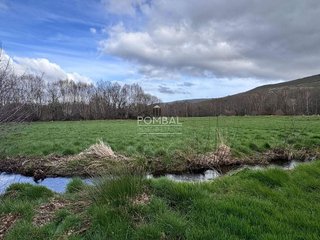 Terreno en venta en Xinzo de Limia