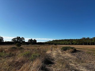 Solar en venta en Núcleo Urbano en Chiclana de la Frontera