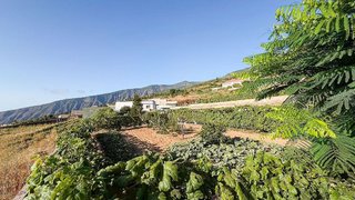 Terreno en venta en Arafo