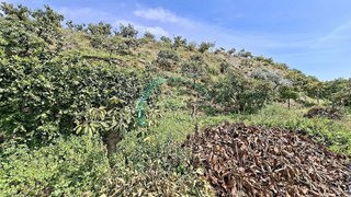 Casa en venta en Camino Algarrobo - Las Arenas en Vélez-Málaga