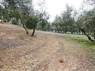 Terreno en venta en Peligros