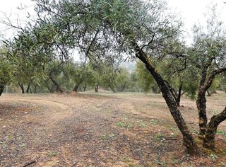 Terreno en venta en Peligros