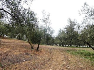 Terreno en venta en Peligros