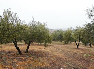 Terreno en venta en Peligros
