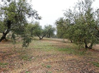 Terreno en venta en Peligros