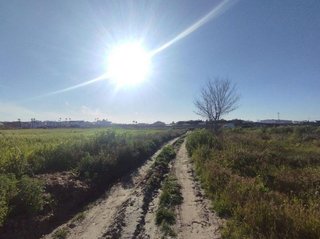 Terreno en venta en Almonte en Almonte