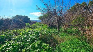 Casa en venta en Cañaveral de León