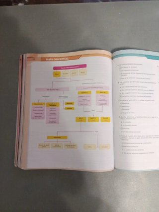 Economía 1o Bachillerato : Smartbook