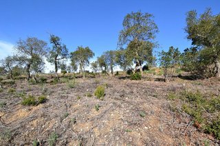 Terreno en venta en Mas Pere-Río de Oro en Calonge