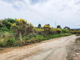 Terreno en venta en Castellbisbal