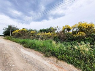 Terreno en venta en Castellbisbal