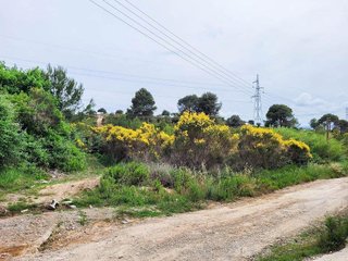 Terreno en venta en Castellbisbal