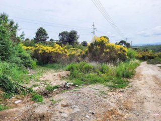 Terreno en venta en Castellbisbal