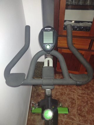 Bici da Spinning Salter Stone PT-1580