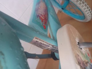 Bicicleta Frozen con ruedines para 5 a 7 años