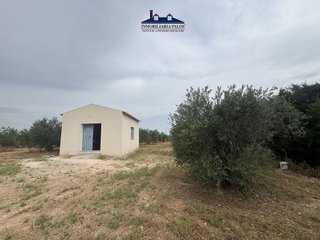 Terreno en venta en Puente Genil