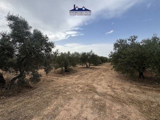 Terreno en venta en Puente Genil