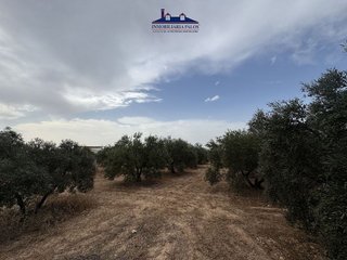 Terreno en venta en Puente Genil