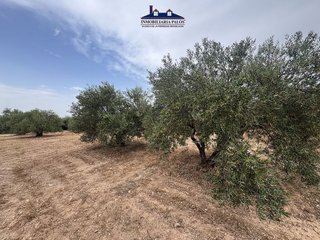 Terreno en venta en Puente Genil