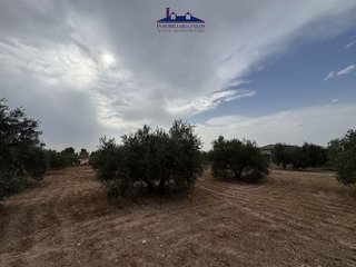 Terreno en venta en Puente Genil