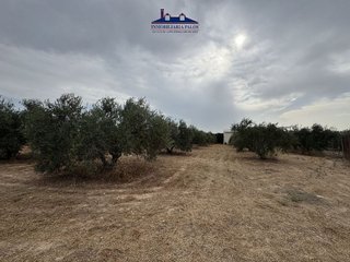 Terreno en venta en Puente Genil