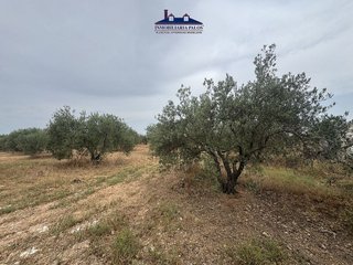 Terreno en venta en Puente Genil