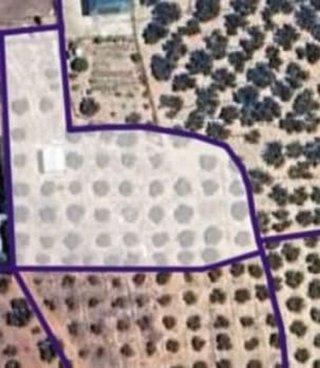 Terreno en venta en Puente Genil