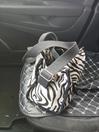 Bolso cebra GOODTIMES