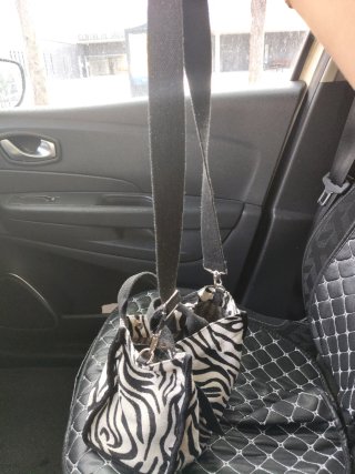 Bolso cebra GOODTIMES