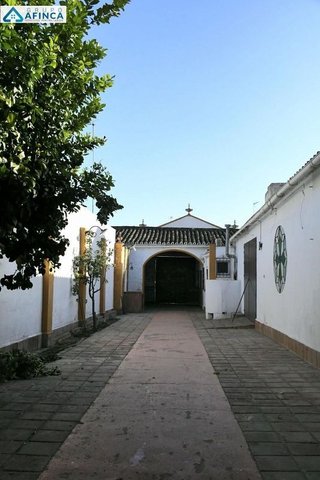 Nave industrial en venta en Palma del Condado (La)