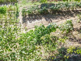 Terreno en venta en Can Rial en Esparreguera