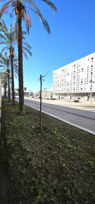 Oficina en alquiler en Zona Centro en Córdoba
